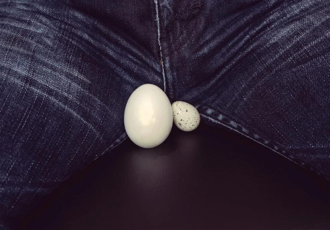 Testicles balls. Testicles balls. Testicles balls. Testicles balls. Testicles balls.