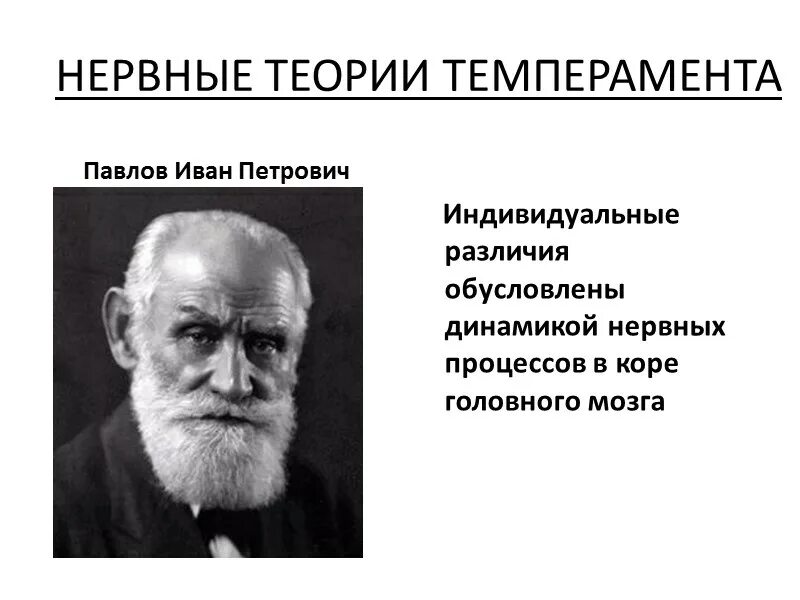 Теория и п павлова. И П Павлов темперамент. Теория темперамента Павлова. Теория Ивана Петровича Павлова.