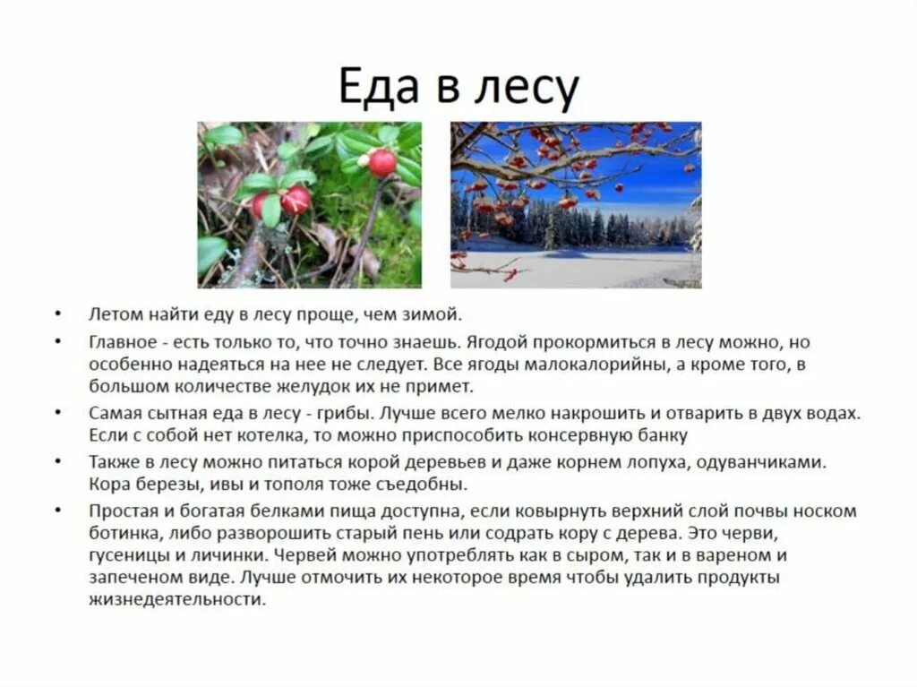 Чего только не узнаешь летом