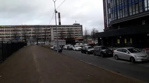 Кондратьевский проспект транспорт