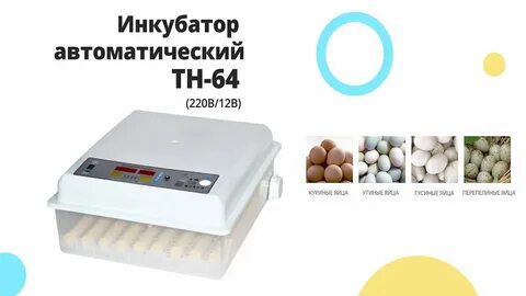 Инкубатор автоматический мс