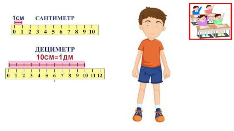 Измерение длины дециметр 1 класс. Дециметры в сантиметры. Метры дециметры сантиметры. Линейка дециметр.