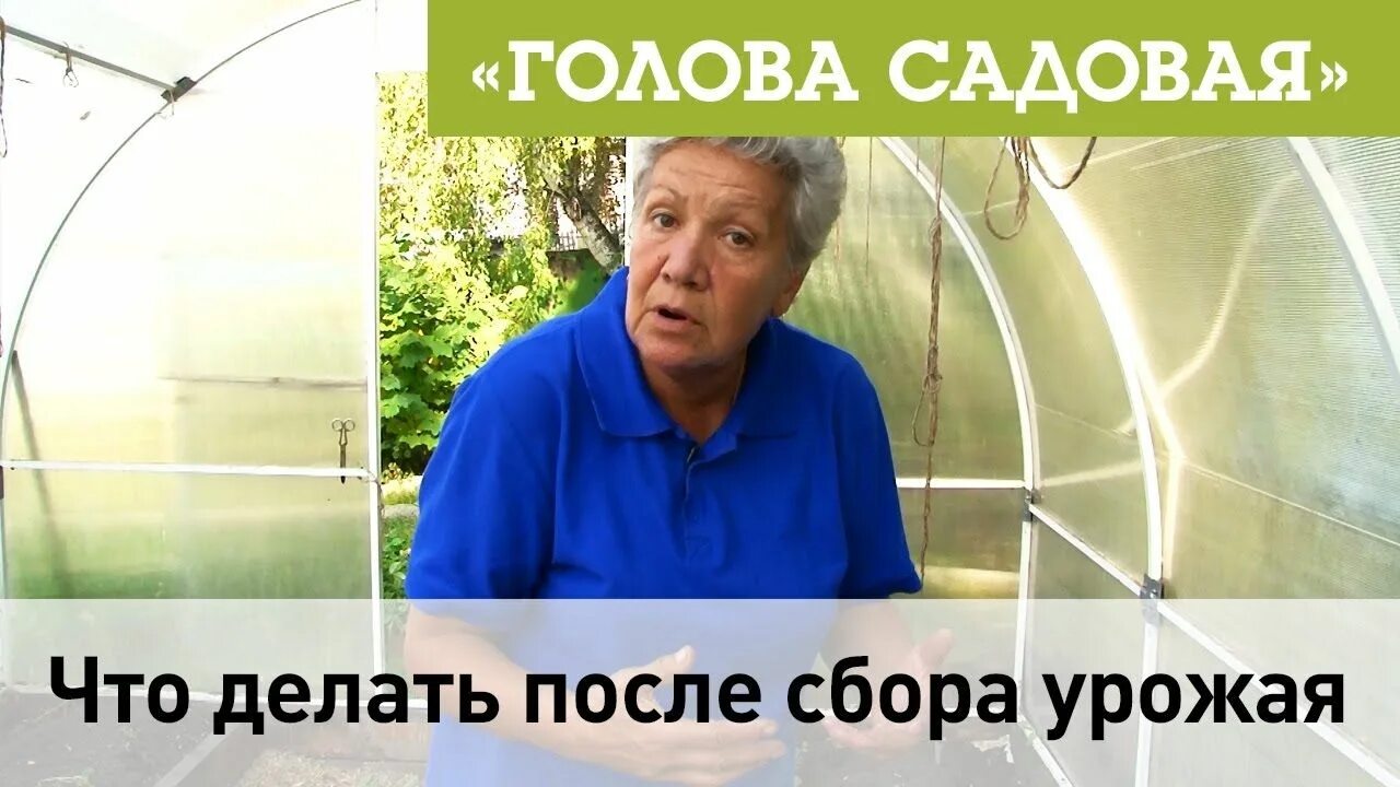 Голова садовая блоггер. Голова садовая. Канал голова садовая. Голова садовая с тетей таней. Голова садовая блоггер.