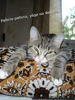 Не дня не работала