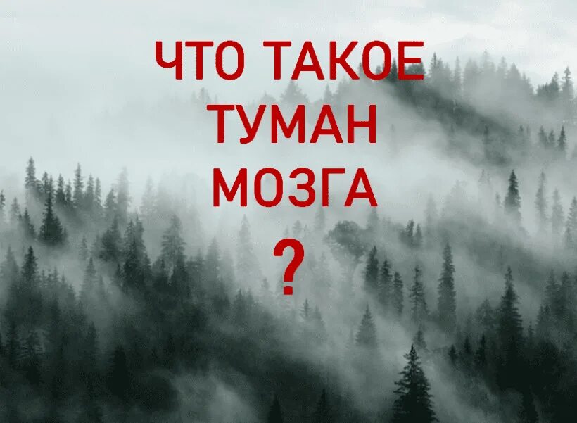 Мозговой туман. Мозг в тумане. Туман в голове. Туман в голове иллюстрации. Ковид мозговой туман