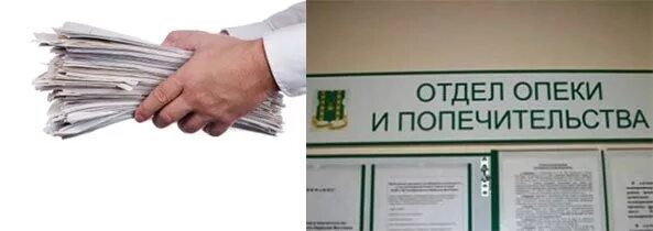 Выйти из опеки. Органы опеки и попечительства. отдел опеки. отдел органов опеки и попечительства. опекунский совет.