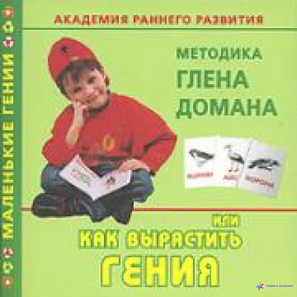 Методика глена домана. Методика развития Глена Домана. Методика раннего развития Глена Домана. Методика обучения Глена Домана. Обучающие книги по методике Домана.