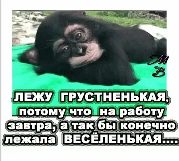 Тема завтра на работу