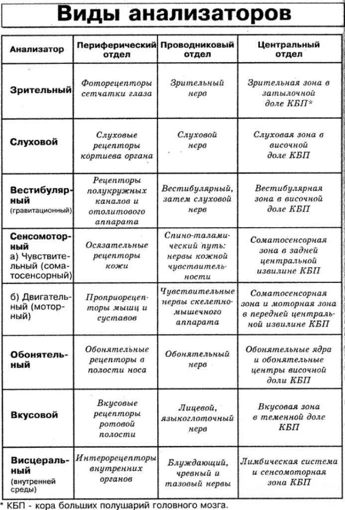 Строение и функции анализаторов таблица. Отделы анализатора таблица. Таблица строение зрительного анализатора по биологии 8. Таблица по биологии 8 класс название анализатора. Системы органов человека состав и функции