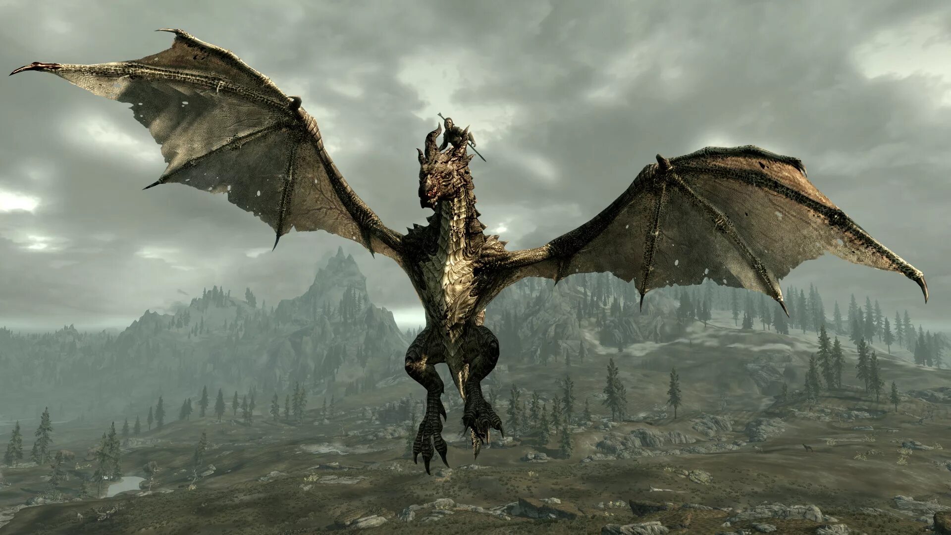 The Elder Scrolls 5. The Elder Scrolls скайрим. Elder Scrolls 5: Skyrim дракон. Игра драконов Skyrim.