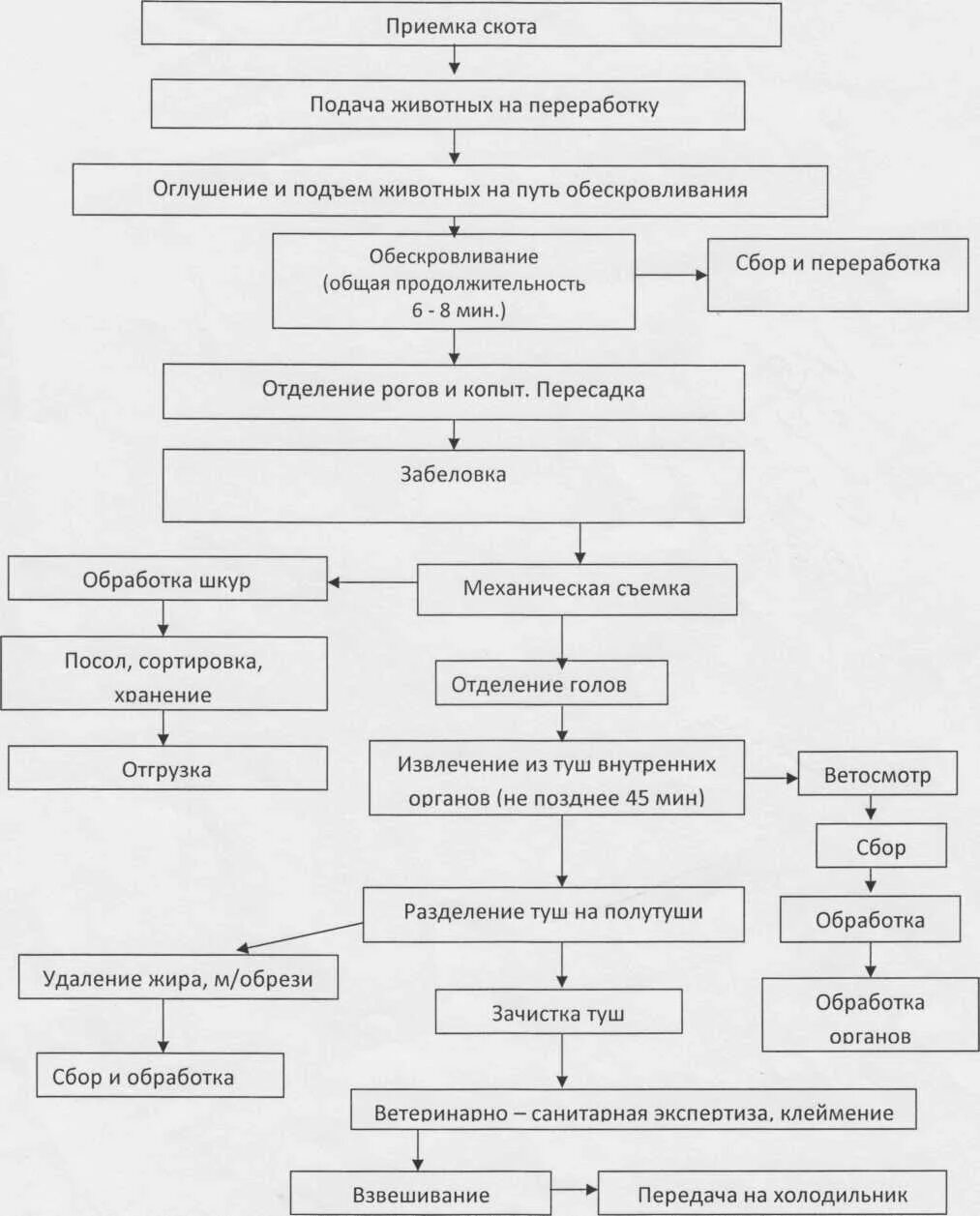 Технологические процессы содержания животных. Схема переработки крупного рогатого скота. Технологическая схема переработки туш КРС. Технологическая схема переработки крупного рогатого скота. Технологическая схема убоя МРС И первичной переработки.