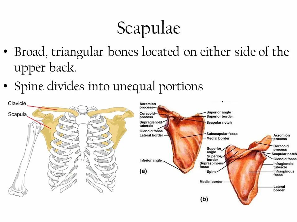 Taxiway markings. Карта дорог финляндии и россии на границе. Math problems in english. Драйв цитаты. Either side.