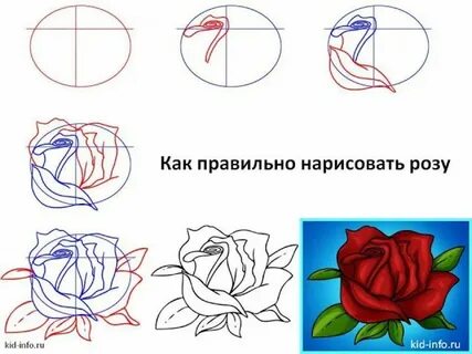 Видео как правильно нарисовать