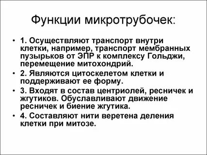 Выполняемые функции цитоскелета