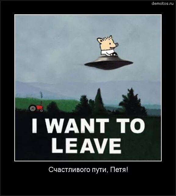 I to want to leave now. I want to leave поросенок петр. поросенок петр пора валить. поросенок петр сваливает из рашки. счастливого пути петя.