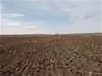 50000 соток. Продам сх земли. Продам сх земли. Продам сх земли. 50000 соток.