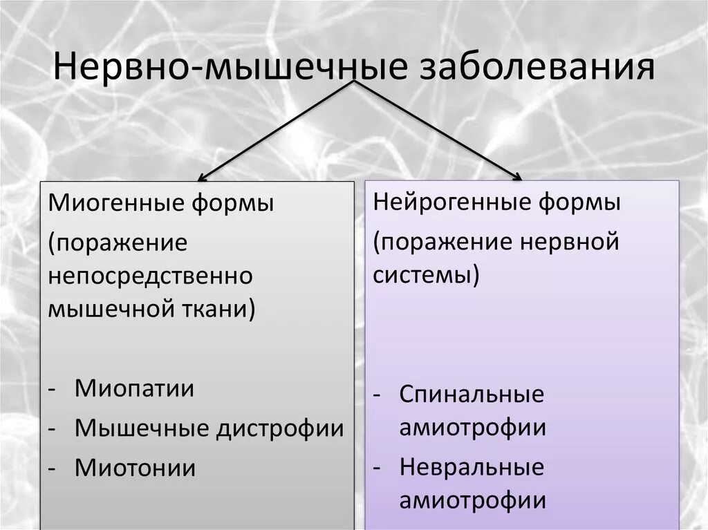 Нервно мышечные патологии. Классификация наследственных заболеваний нервно-мышечной системы.. Классификация нервно-мышечных заболеваний. Классификация нервно-мышечных заболеваний неврология. Наследственные нервно-мышечные заболевания неврология.