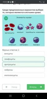 Предложенные варианты в регионе
