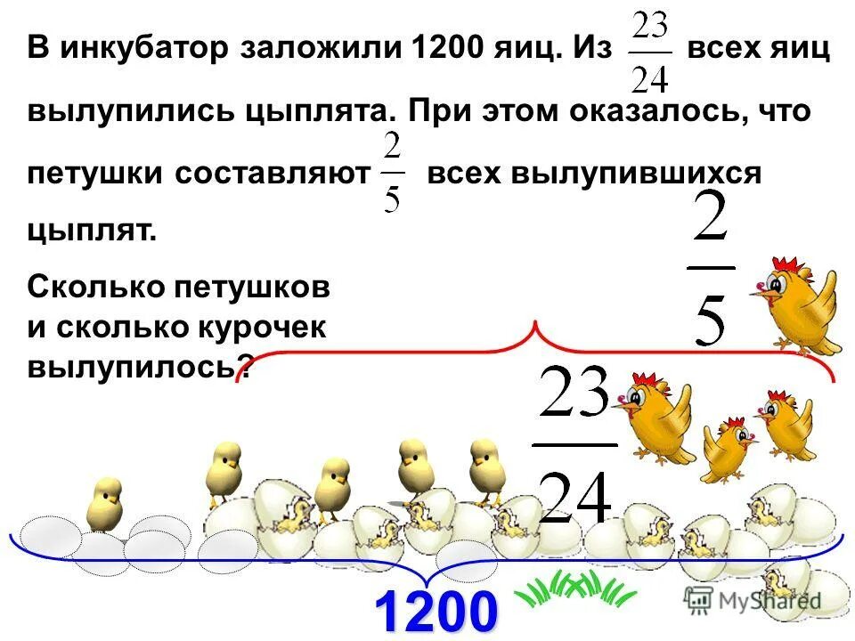 В каждой коробке по 100 яиц. В инкубатор заложили 1200 яиц. В инкубатор заложили 1200 яиц из 23/24. В инкубатор заложили 1200 яиц из 23/24 всех яиц вылупились цыплята. В инкубатор заложили 1200 яиц из 24.