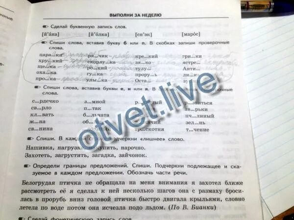 Спиши слова вставь букву е или и в скобках запиши проверочные слова. Спиши слова вставив буквы е я или и в скобках запиши проверочные. Спиши слова вставив буквы е и или я в скобках запиши проверочные слова. Вставь буквы е и или я в скобках запиши проверочные слова. Спишите вставьте буквы напишите проверочные слова