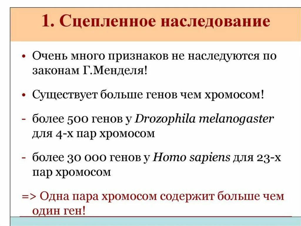 Сцепленное наследование презентация 10 класс профильный уровень. Сцепленное наследование презентация 10 класс профильный уровень