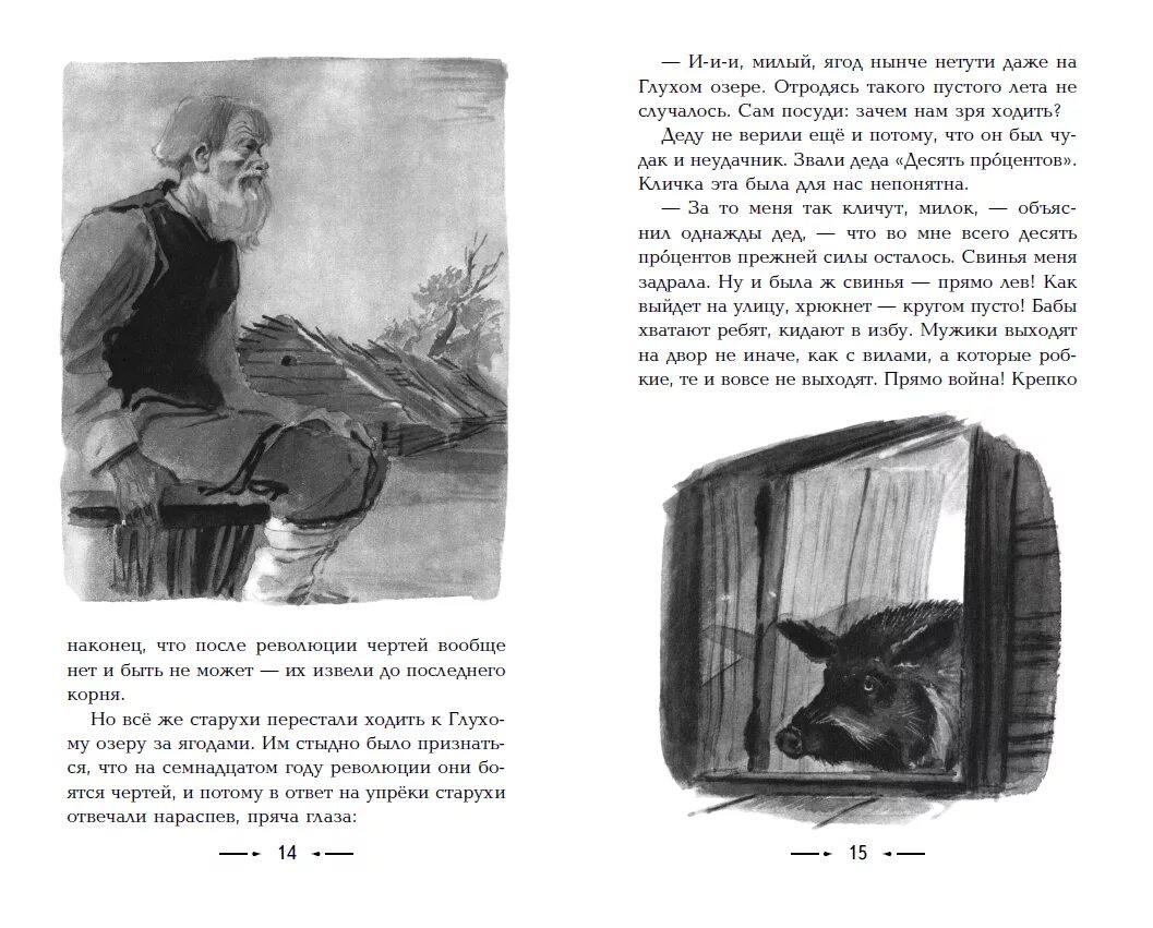 Любознательность огэ паустовский. Паустовский белая ночь. Паустовский Мещерская сторона. Иллюстрации из книг Паустовского.