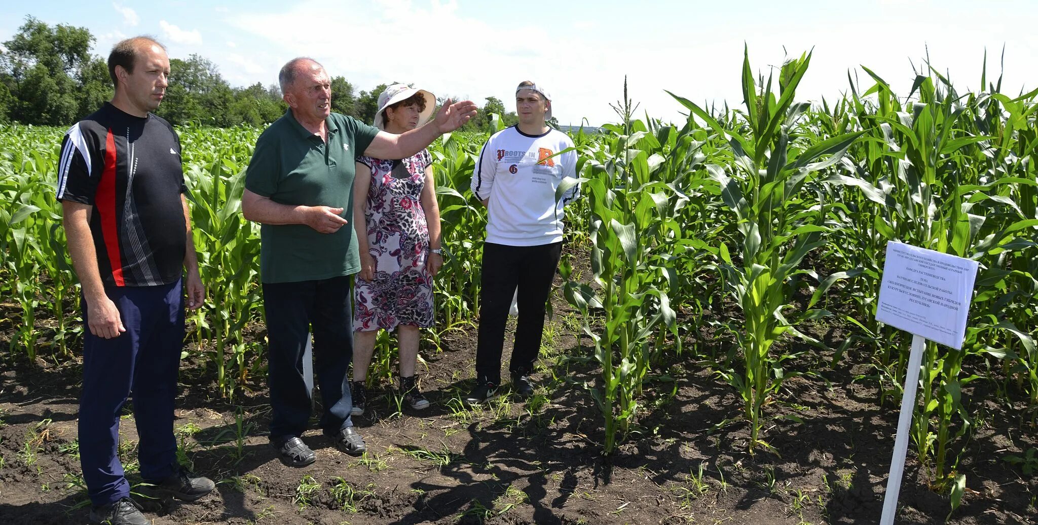 Красноуфимский селекционный центр. Приемка полевых опытов. Исследовательский институт сельского хозяйства. Приемка полевых работ. Методика полевого опьiта.