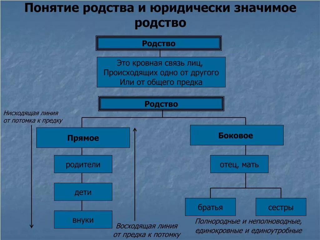 Какие родственники у человека. Понятие родства. Степень родства в семейном праве. Родственные понятия. Степени родства термины.