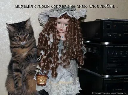 Я старый и не знаю слов любви