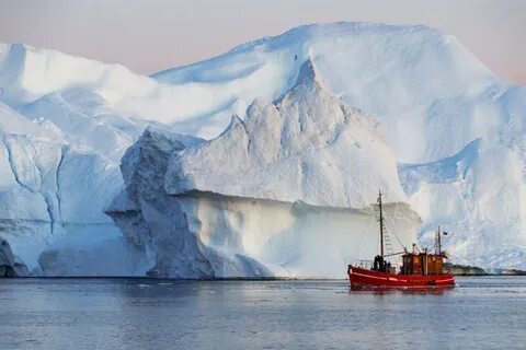 Norma tale antarctic