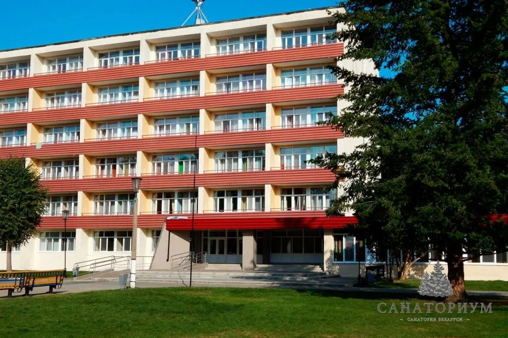 Санаторий сосновый телефон. Санаторий сосны (могилёвская область). санаторий сосны белоруссия гомельская область. санаторий сосны ул опаринская 67.