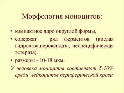 Моноциты лейкоциты это что