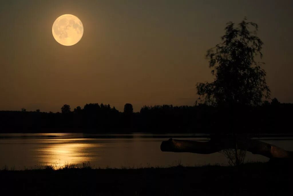 Летняя ночь. Луна река. Ночное озеро. Лунная ночь.