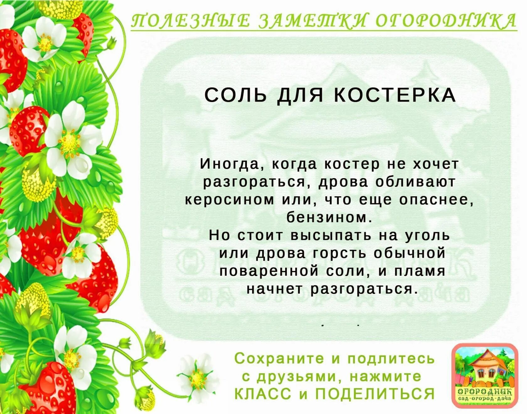 Полезные советы огородникам и садоводам. Советы садоводам. Полезные советы для садоводов. Полезные советы огородникам и садоводам. Советы про сад.