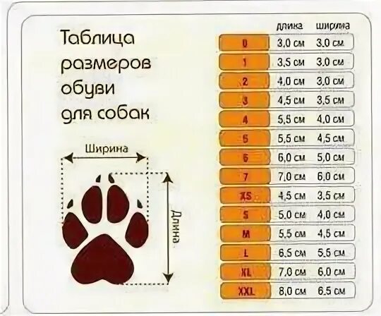 Как определить размер лапы