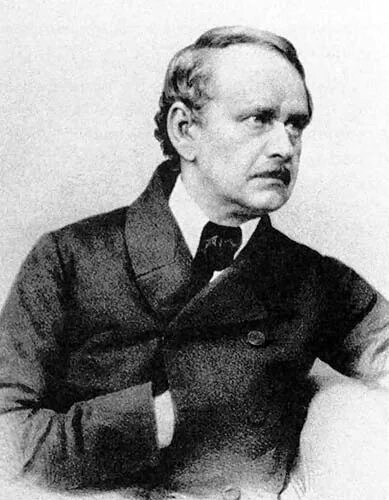 Маттиас шлейден. М шлейден и т шванн вклад в биологию. Маттиас якоб шлейден (1804-1881). 1838 шлейден матиас якоб клеточная. Маттиаса якоба.