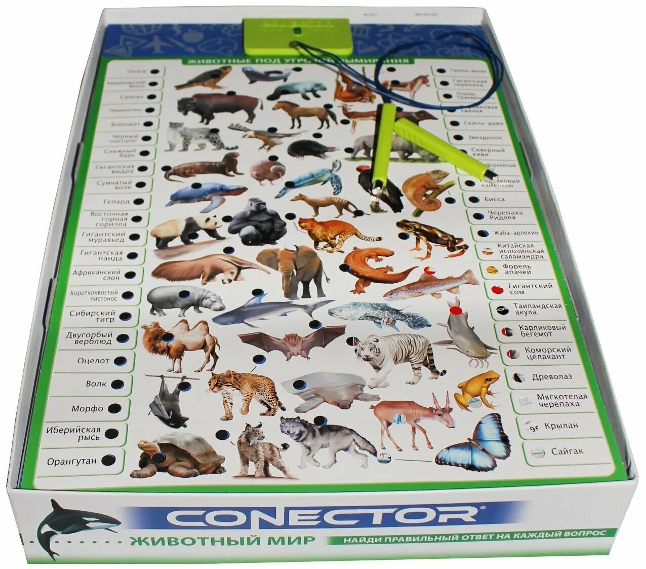 Настольная игра про животных. Лото животные для детей. Настольная игра альфа тойс мемо мир животных. Настольная игра животные. Настолка про животных.