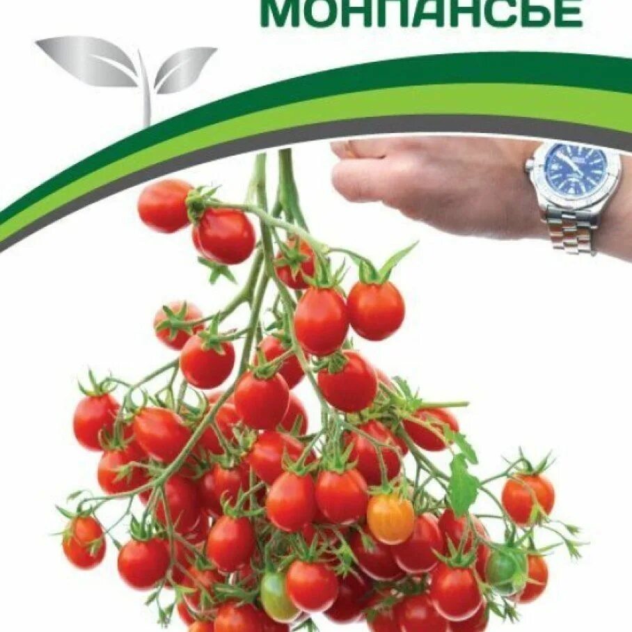 Томат монпансье характеристика и описание. Томат монпансье фото. Томат монпансье характеристика и описание. Партнер томат монпансье. Томат монпансье характеристика и описание.