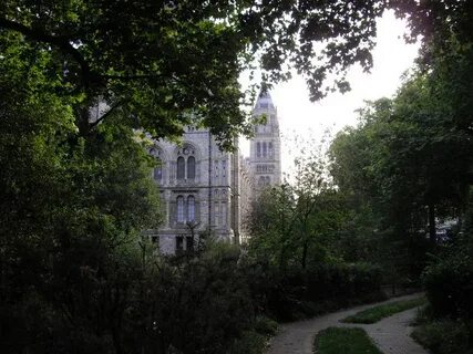 Wildlife garden