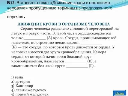 Впишите пропущенные термины и названия