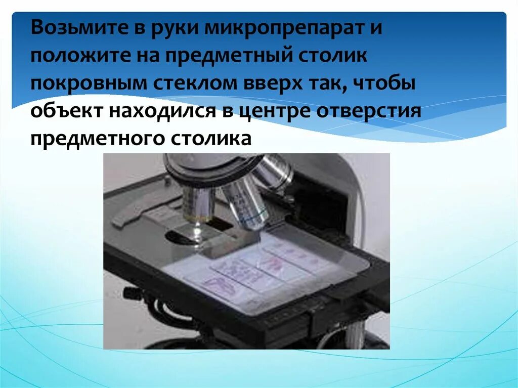 Для чего нужно предметное стекло. Положите препарат на предметный столик. Стекло для микропрепаратов. Столик для приготовления микропрепаратов. Микропрепарат на предметном стекле.