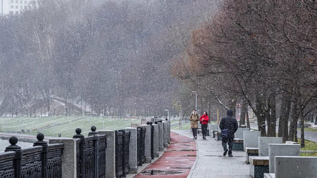 Зима в Москве без снега. Бесснежная зима в Москве. Зима 2019 в Москве без снега. Зима 2020 без снега Москва.