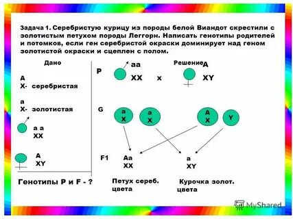 При скрещивании арбуза с длинными полосатыми