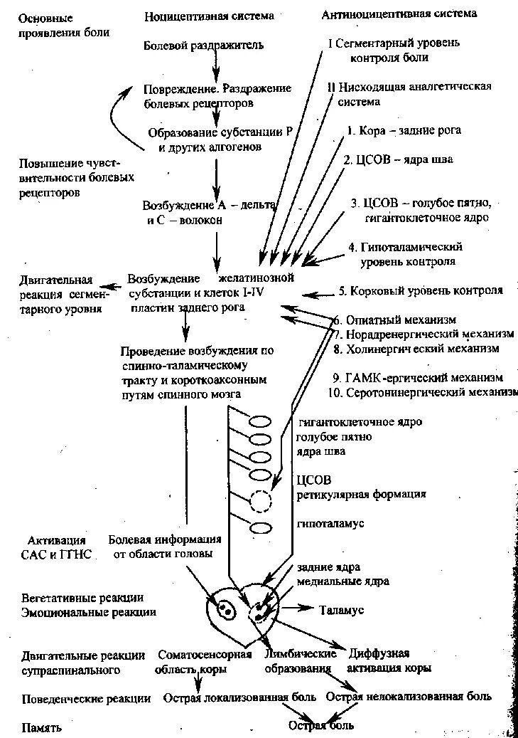 Нисходящий контроль. Схема нисходящего контроля болевой чувствительности. нисходящий контроль боли схема. антиноцицептивная система схема. lc схема нисходящего контроля болевой чувствительности.