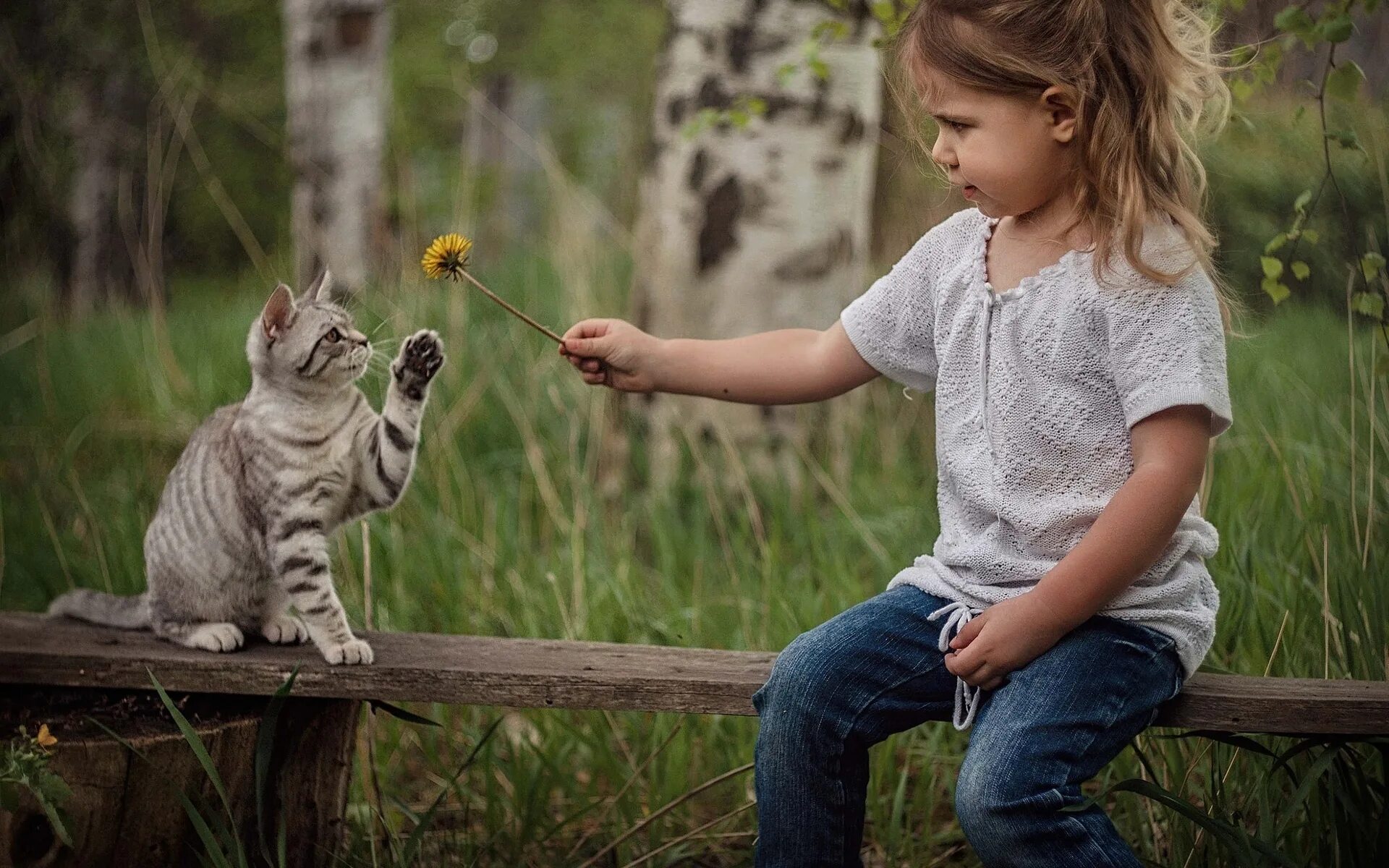 Котенок играет малыша. Дети и природа. Девочка с котятами. Котёнок-ребёнок. Кошка девочка.