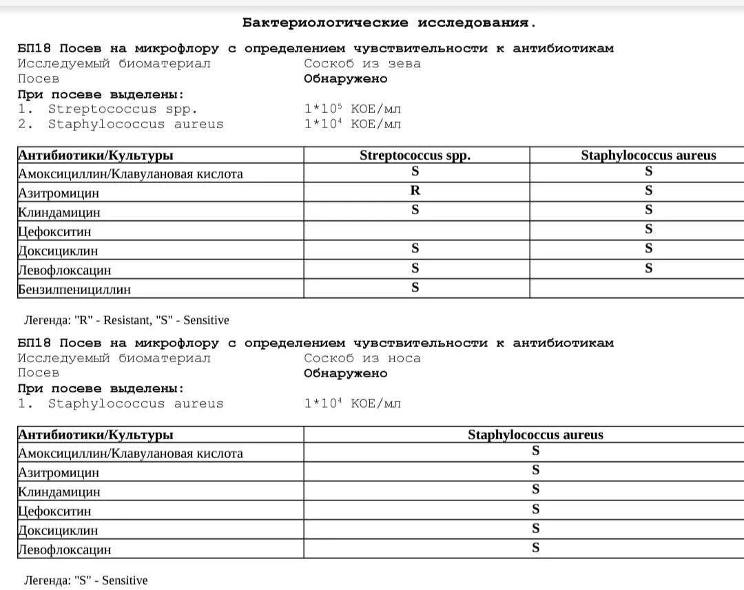 Бак посев на микрофлору и чувствительность. Анализы на бак посев расшифровка. Бак посев на микрофлору и чувствительность к антибиотикам. Результаты посева на микрофлору и чувствительность к антибиотикам. Посев мочи на флору с определением чувствительности к антибиотикам.