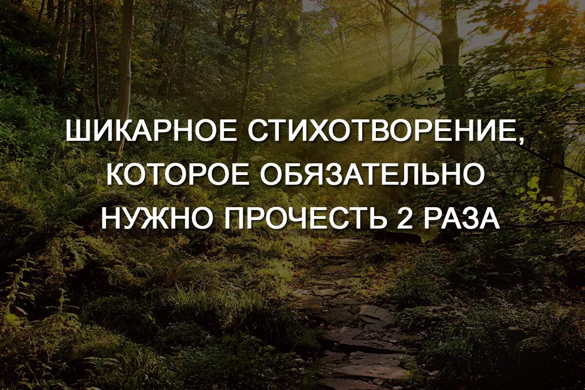 Перечитать несколько раз. Потерянное поколение стихотворение. стих который надо читать два раза. стихи которые надо прочитать дважды. стихотворение которое нужно читать дважды.