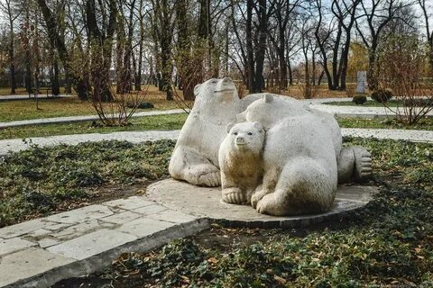 Новокуйбышевск парк дубки