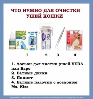 Как почистить ушки кошке