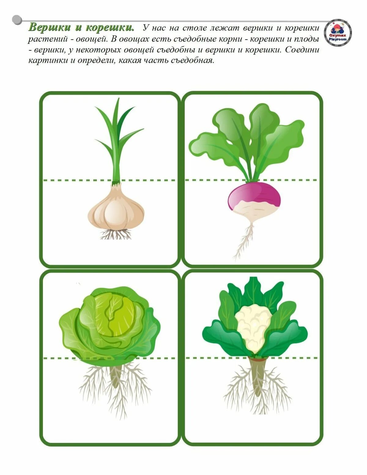 Игра вершки и корешки. Овощи вершки и корешки. Игра вершки и корешки. Вершки и корешки игра для детей. Игра вершки и корешки.